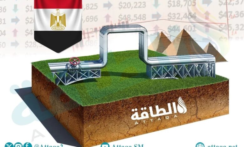 سعر-توصيل-الغاز-للمنازل-في-مصر.-الآن-بالتقسيط